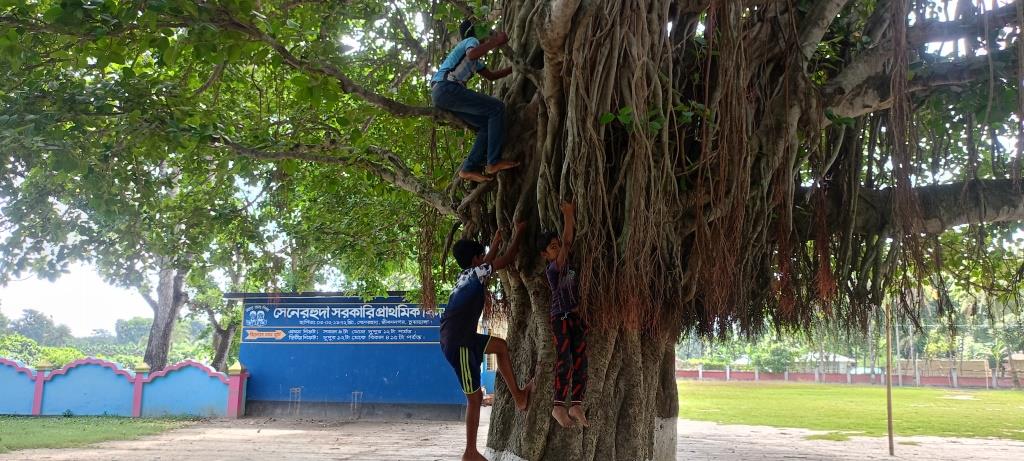 কালের সাক্ষী হয়ে দাঁড়িয়ে আছে বটবৃক্ষটি