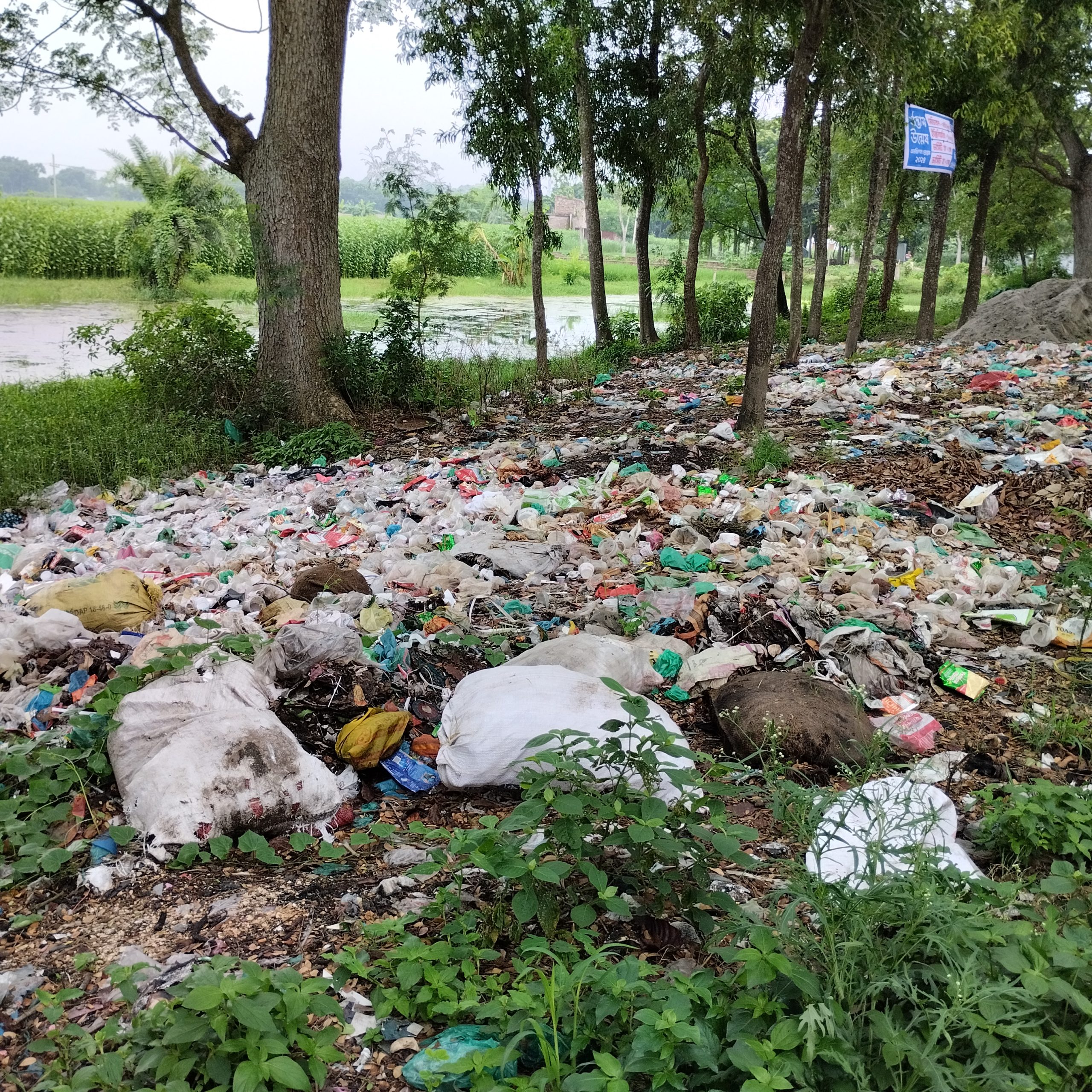 দামুড়হুদায় কলেজের অদূরে ময়লার স্তূপ, দুর্ভোগ