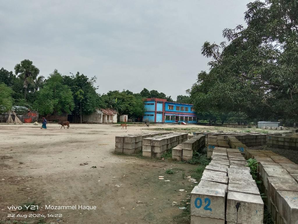 স্কুলের মাঠ কংক্রিট ব্লকের দখলে