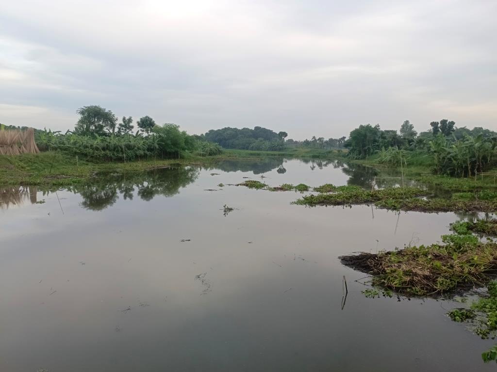 চুয়াডাঙ্গার চিত্রা খননে সুফল পাচ্ছে না নদী পাড়ের মানুষ