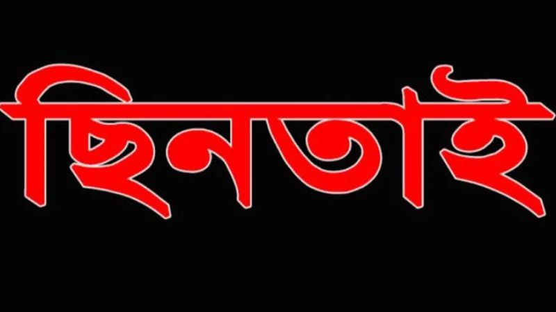 দামুড়হুদায় সড়কে গাছ ফেলে গণছিনতাই