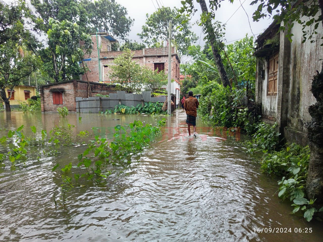 চুয়াডাঙ্গায় টানা বৃষ্টিতে তিন দিনে ১৮২.২ মিলিমিটার বৃষ্টিপাত রেকর্ড