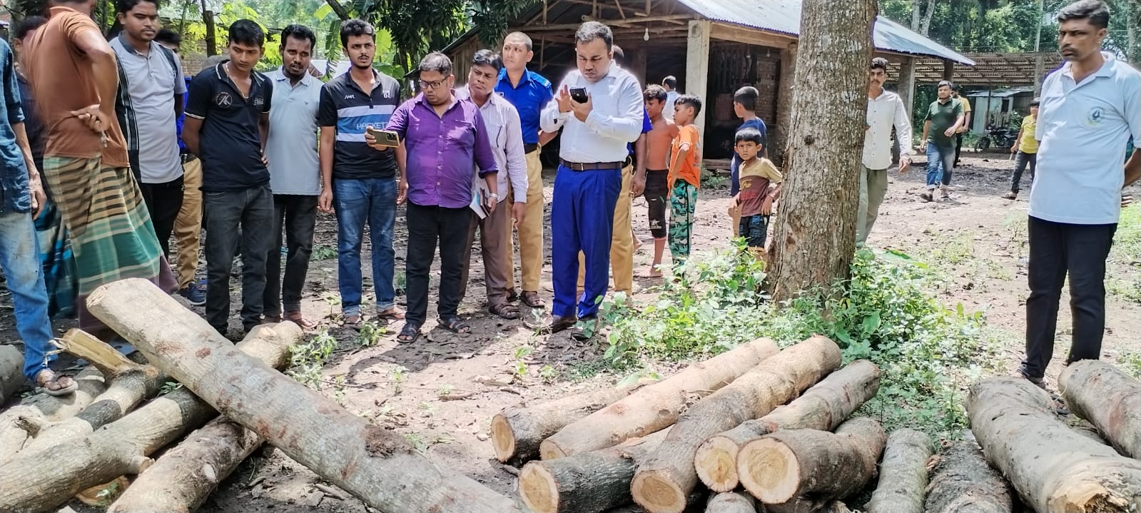 দামুড়হুদায় সরকারি ৩০টি গাছ চুরি
