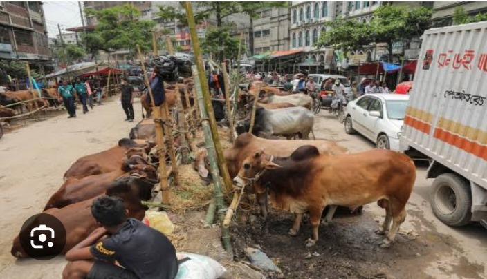 দামুড়হুদার ডুগডুগি পশুহাটের দিন সড়কে তীব্র যানজট, জনভোগান্তি চরমে