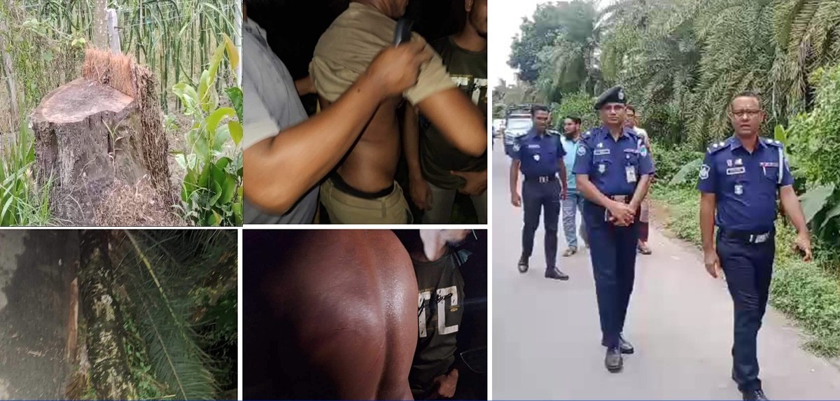 জীবননগরের সন্তোষপুর-আন্দুলবাড়ীয় সড়কে গণডাকাতির ঘটনায় চাঞ্চল্যকর তথ্য