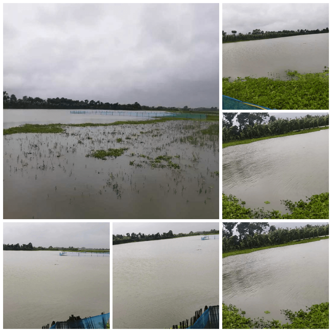 বিএনপির নাম ভাঙিয়ে বিল দখলের অভিযোগ