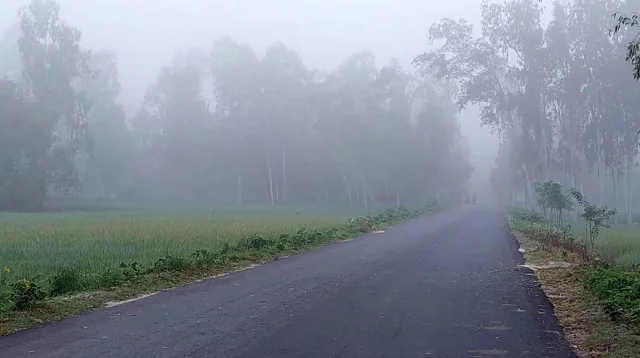 চুয়াডাঙ্গায় দিনে গরম শেষরাতে ঠাণ্ডা, প্রকৃতিতে শীতের আভাস
