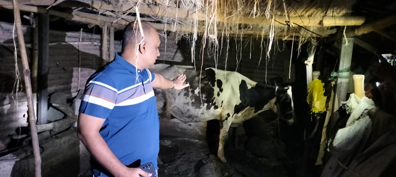 চুয়াডাঙ্গায় খামার থেকে ডাকাতি হওয়া একটি গাভী উদ্ধার