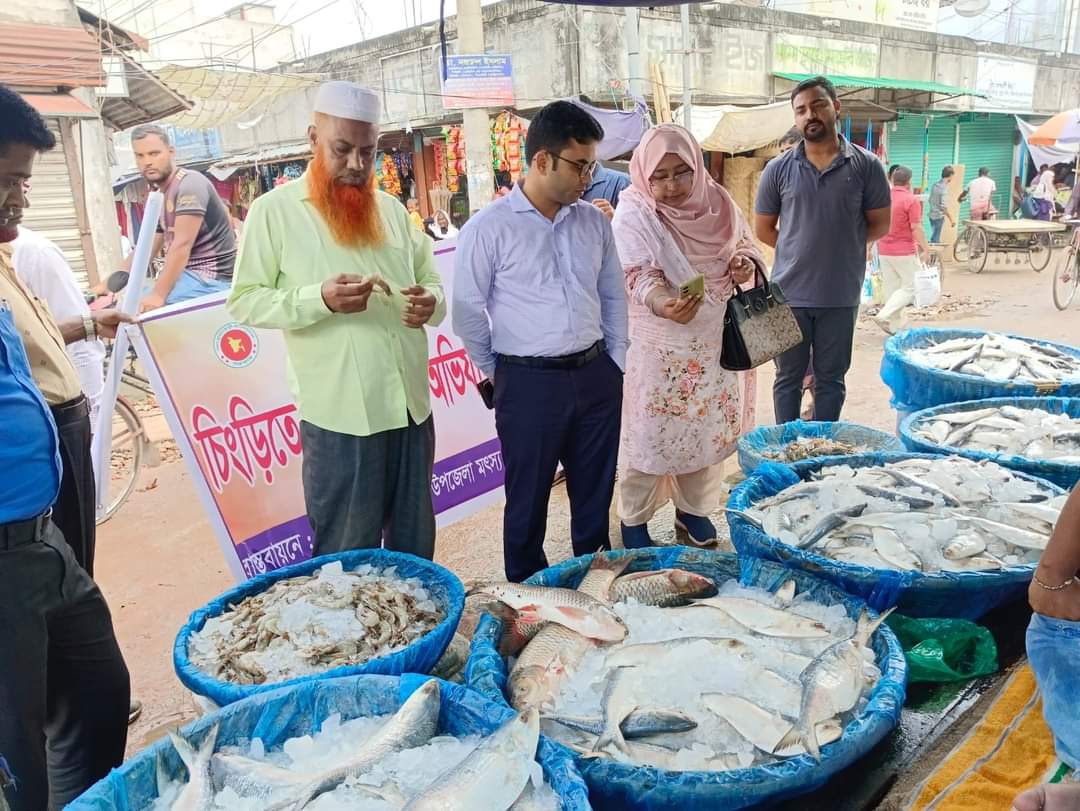 আলমডাঙ্গায় মাছ ব্যবসায়ীকে ৩ হাজার টাকা জরিমানা