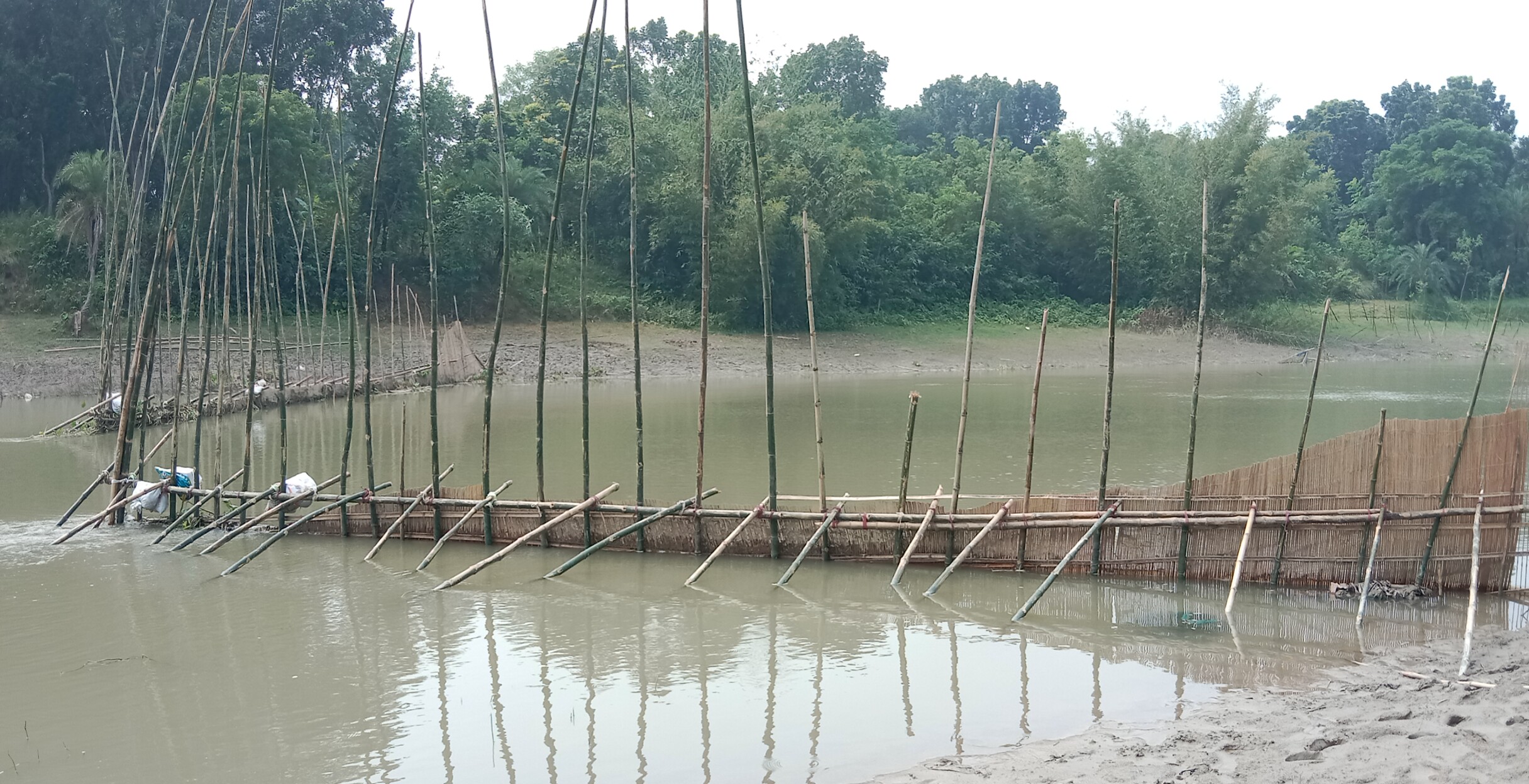 দামুড়হুদায় মাথাভাঙ্গা ও ভৈরব নদে বাঁধ দিয়ে মাছ শিকার
