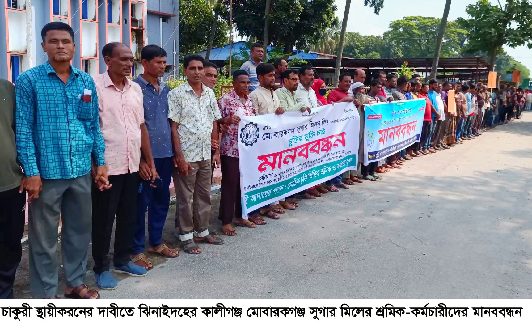 মোবারকগঞ্জ সুগার মিলের শ্রমিক-কর্মচারীদের মানববন্ধন<br>