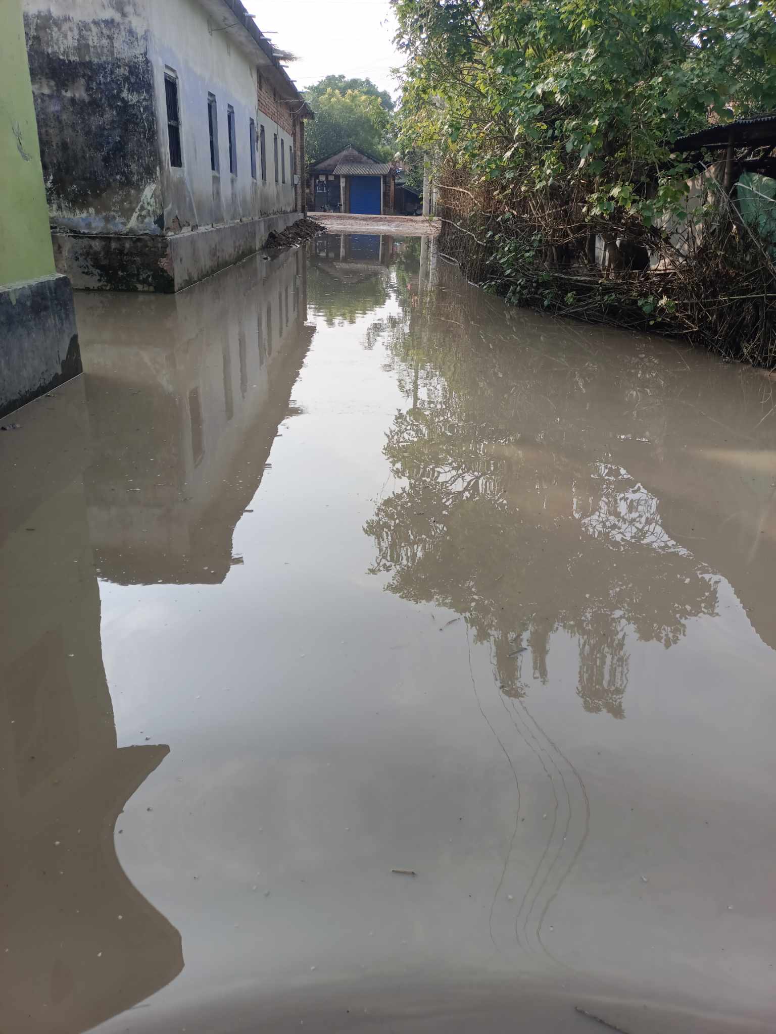 কার্পাসডাঙ্গার কানাইডাঙ্গায় একটু বৃষ্টি হলেই হাঁটু পানি
