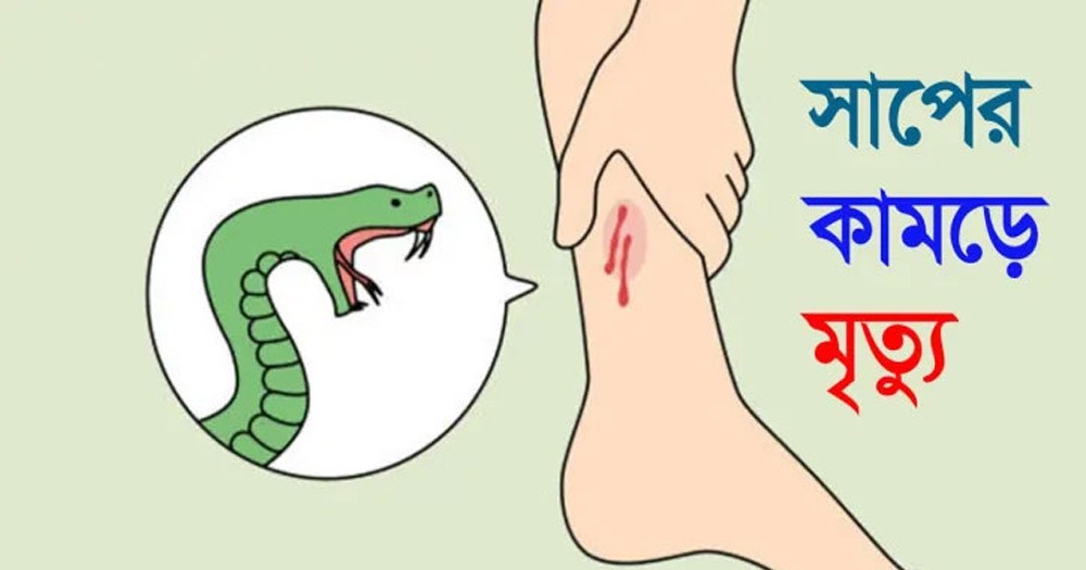 চুয়াডাঙ্গার তেঘরীতে সাপের কামড়ে শিশুর মৃত্যু