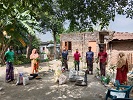 জীবননগরে গাছের চারা, সবজির বীজ ও সার বিতরণ