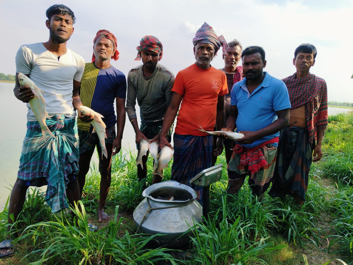 গড়াইটুপির পাকশিয়া বিলে পুনরায় মাছ অবমুক্ত
