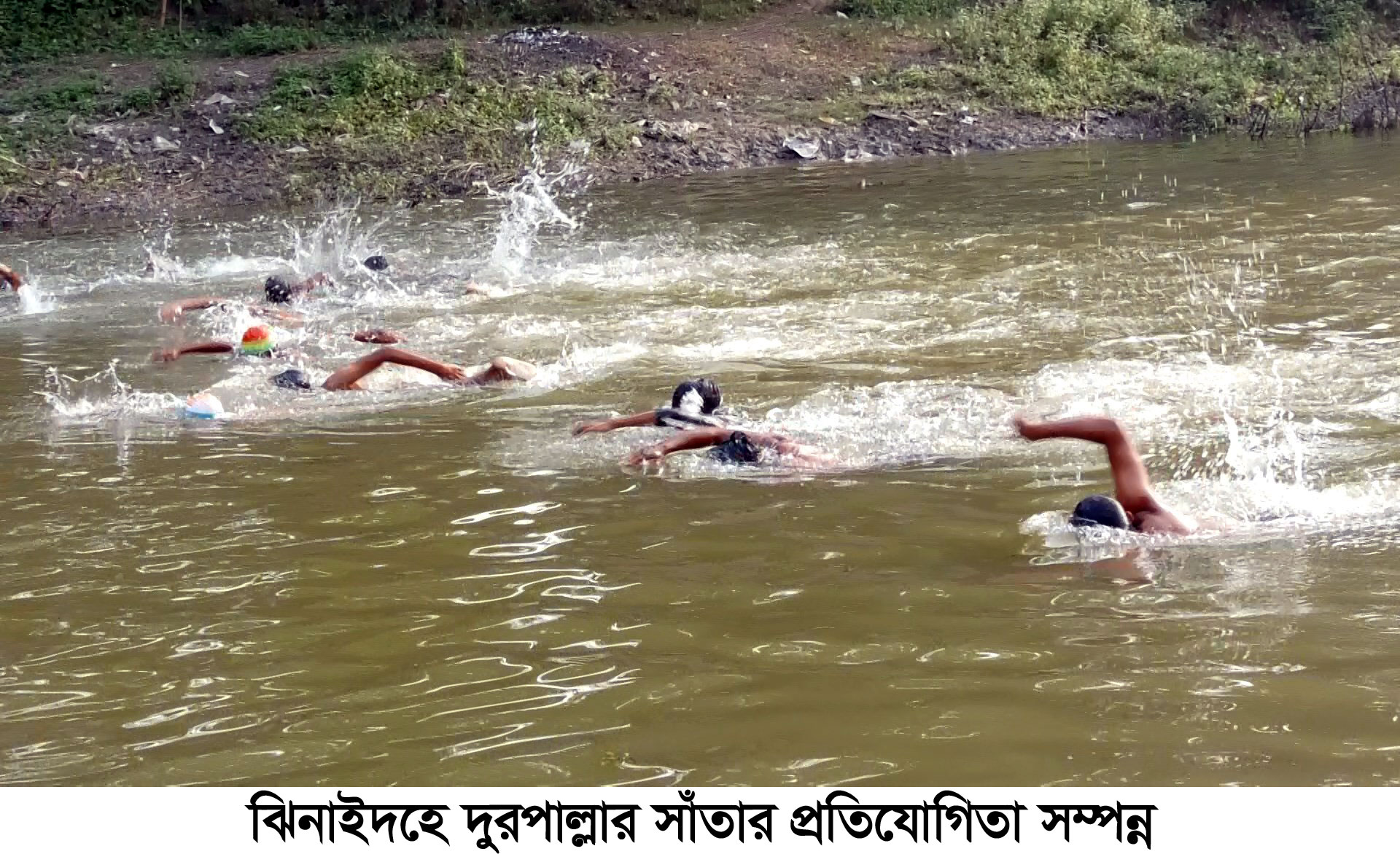 ঝিনাইদহে সাঁতার প্রতিযোগিতা অনুষ্ঠিত