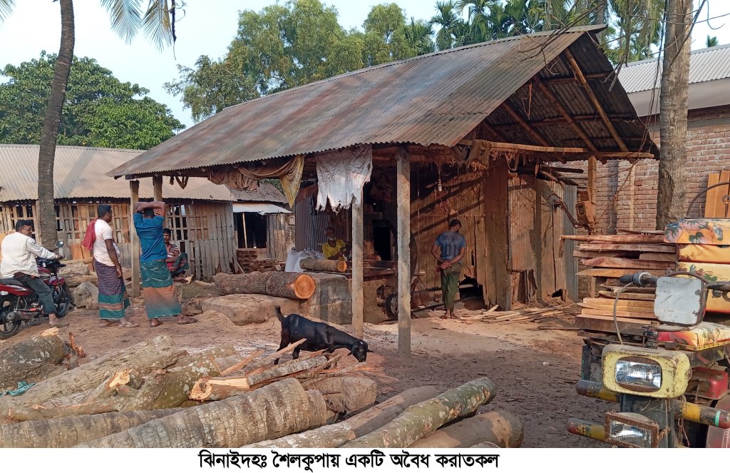 শৈলকুপায় মাসোহারায় চলে অবৈধ করাতকল