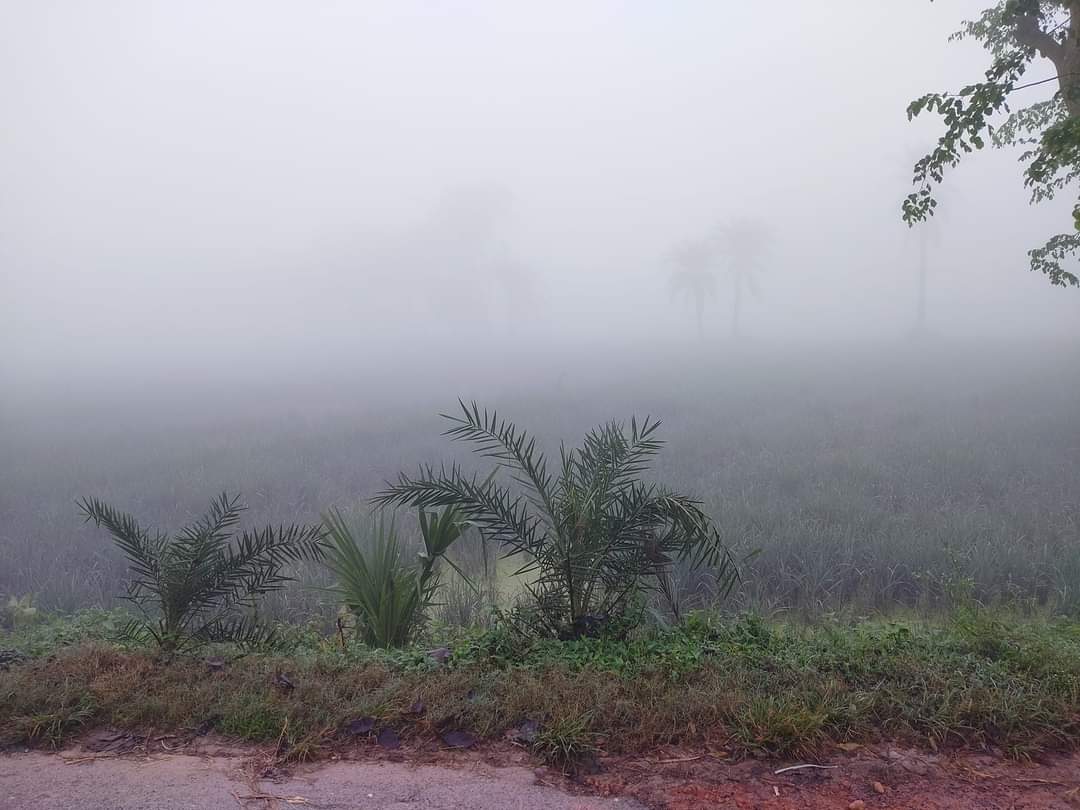 চুয়াডাঙ্গায় জেঁকে বসছে শীত; তাপমাত্রা নামল ১৪.২ ডিগ্রিতে