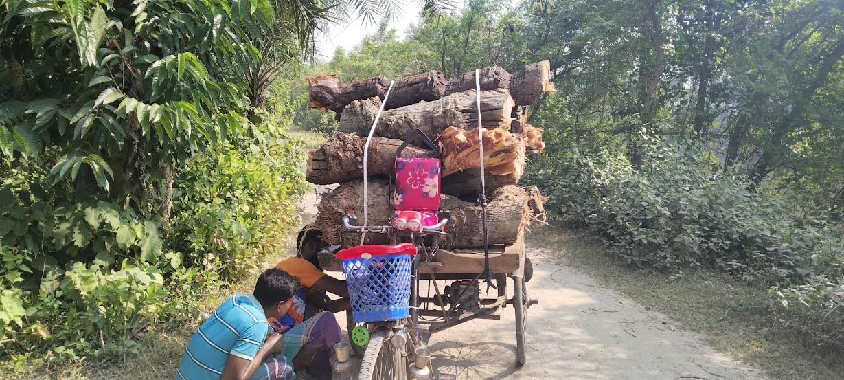 দামুড়হুদায় খেজুরের রস সংগ্রহ ও গুড় তৈরিতে ব্যস্ত গাছিরা