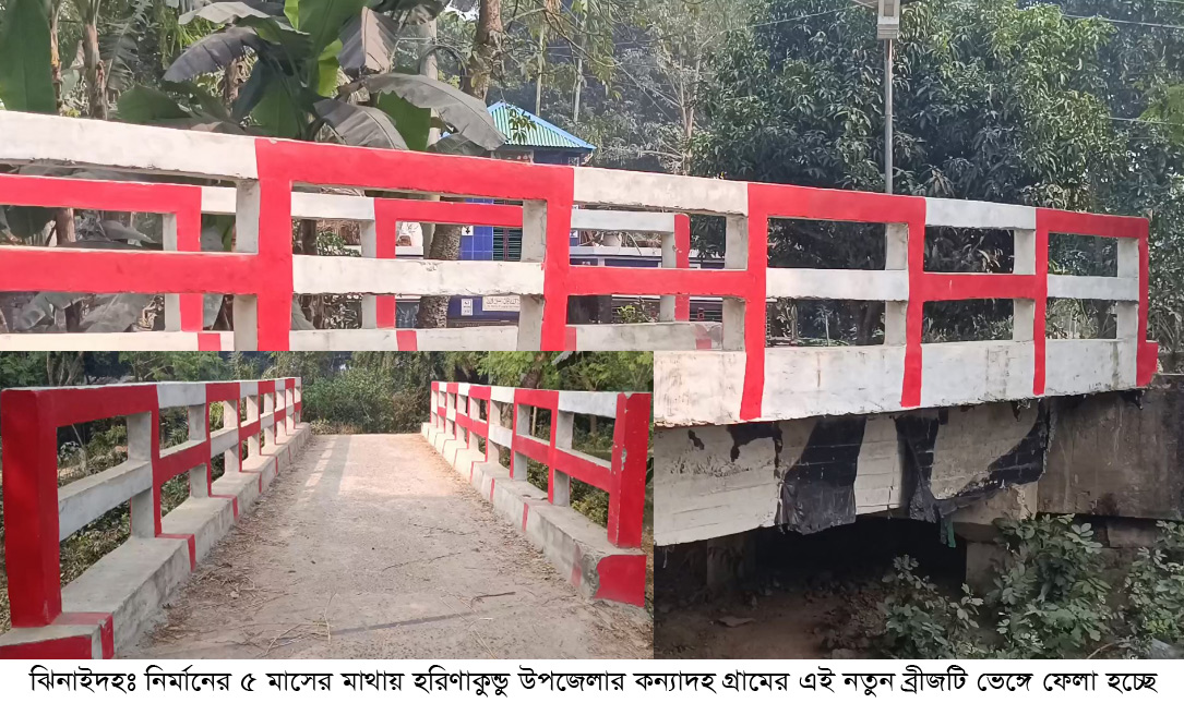 ১৩ লাখ টাকার নতুন ব্রিজের আয়ু ৫ মাস!