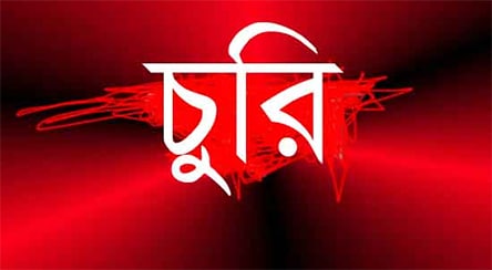 দর্শনায় এক রাতে বাবা-ছেলের দুটি পাখি ভ্যানই চুরি
