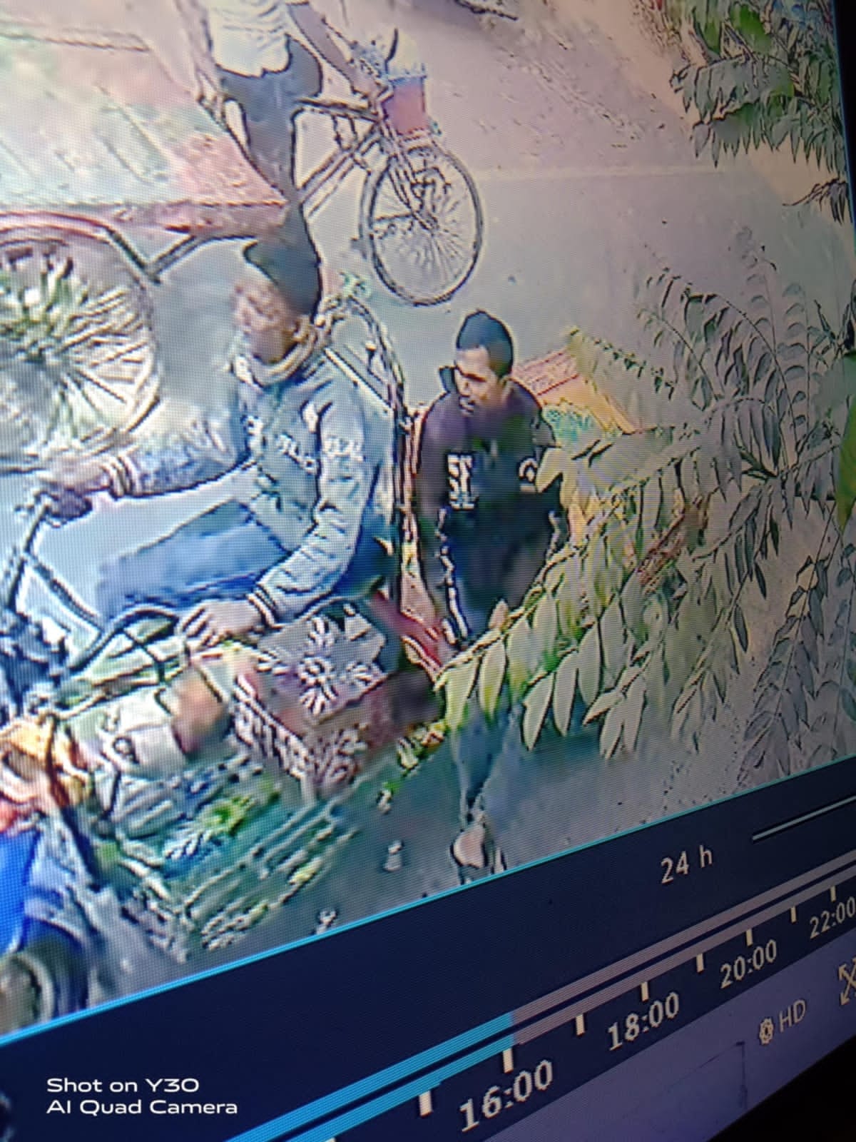 দর্শনায় শিশু চালকের পাখিভ্যান নিয়ে লাপাত্তা ২ প্রতারক