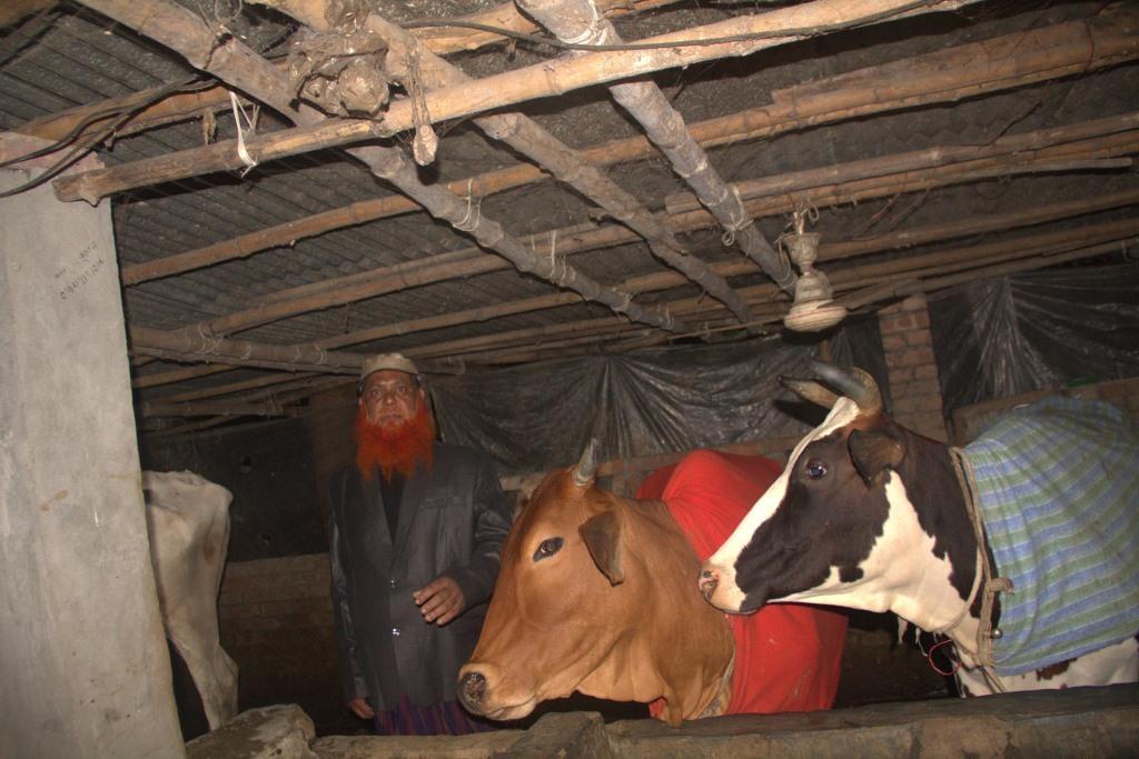 প্রতিদিন এক মণ দুধ বিক্রিসহ বছরে আয় ১০ লাখ