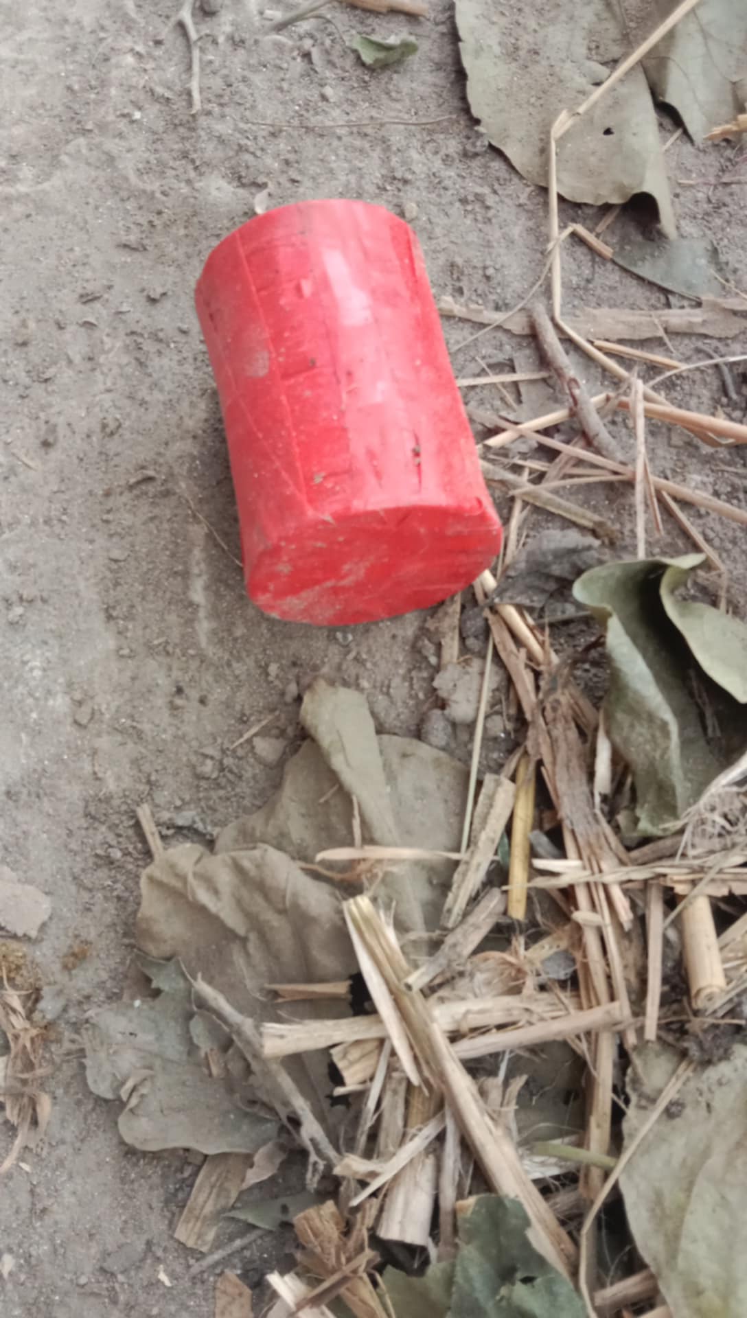 আলমডাঙ্গার শালিকা গ্রামে রাতের আঁধারে ‘বোমা বিস্ফোরণ’