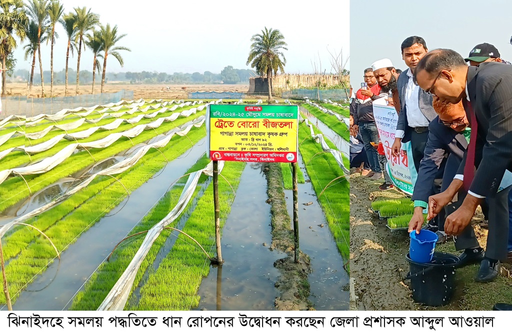 সমলয় চাষাবাদ পদ্ধতিতে ধান রোপণে নতুন সম্ভাবনা