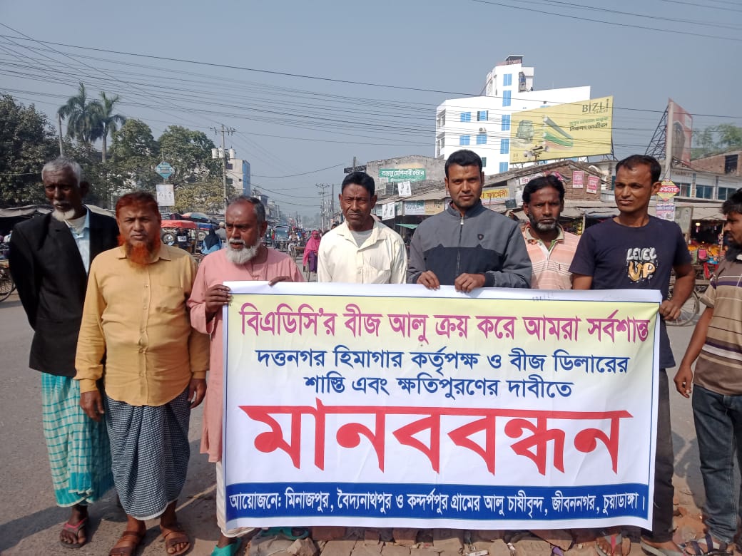 জীবননগরে বিএডিসির সানসাইন আলু বীজ রোপন করে বিপাকে কৃষকরা