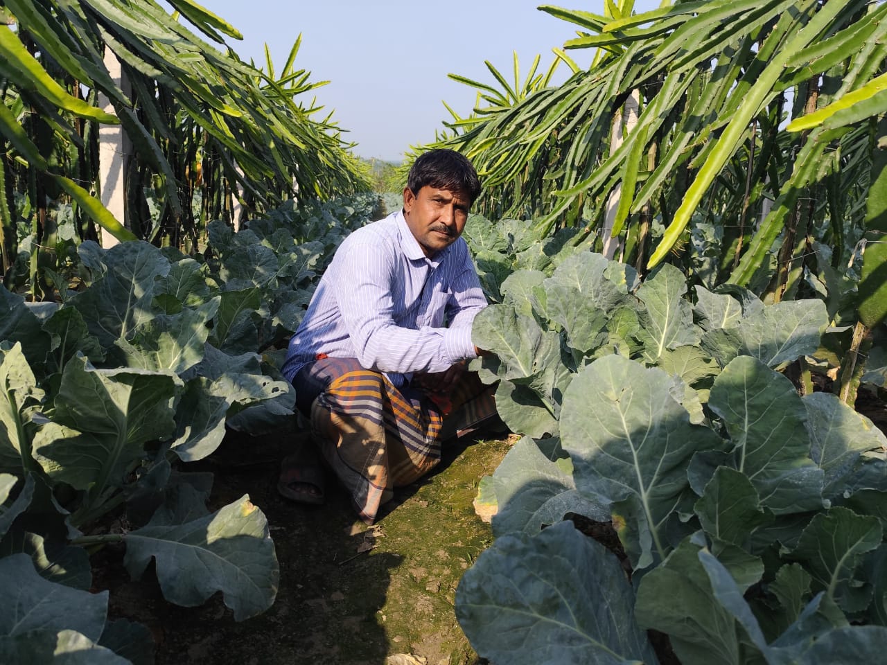 জীবননগরে সমন্বিত চাষে লাভবান সুরুজ মিয়া
