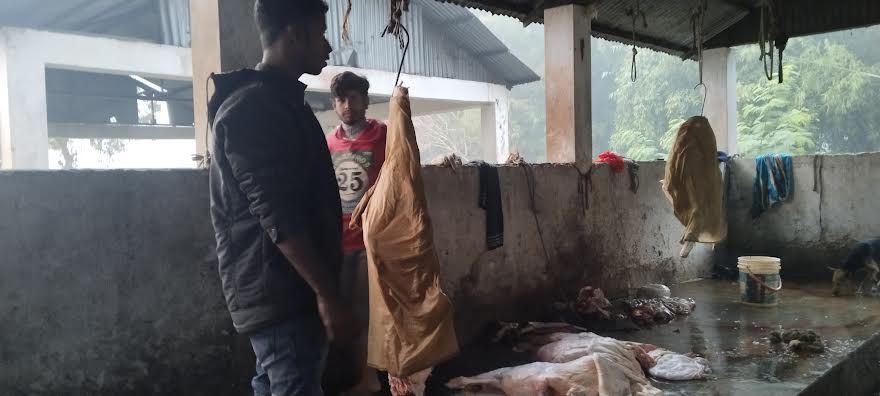 দর্শনায় পেটে বাছুরসহ গাভী জবাই করায় মাংশ বিক্রির চেষ্টা