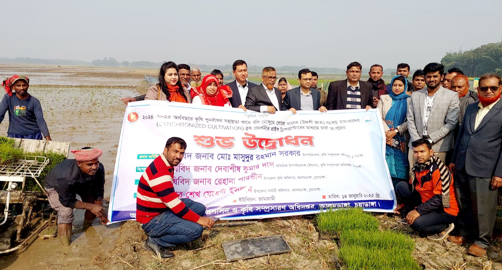 আলমডাঙ্গায় যন্ত্রের মাধ্যমে ধান রোপণের উদ্বোধন