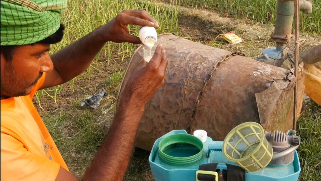 ঝিনাইদহে স্বাস্থ্যবিধি ছাড়াই ফসলে কীটনাশক প্রয়োগ করছেন কৃষকরা