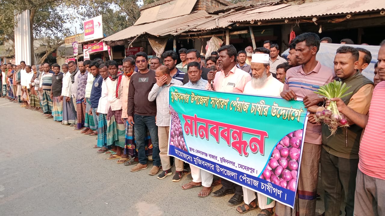 পেঁয়াজের ন্যায্য মূল্য নিশ্চিতের দাবিতে মুজিবনগরে কৃষকদের মানববন্ধন