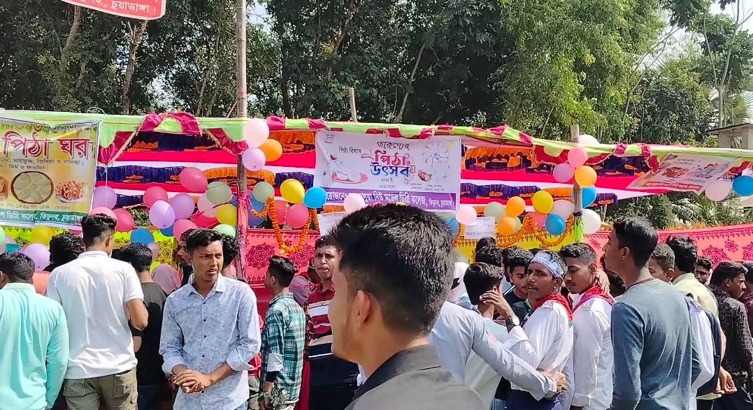 তিতুদহের বড়শলুয়া নিউ মডেল ডিগ্রি কলেজে বর্ণিল পিঠা উৎসব