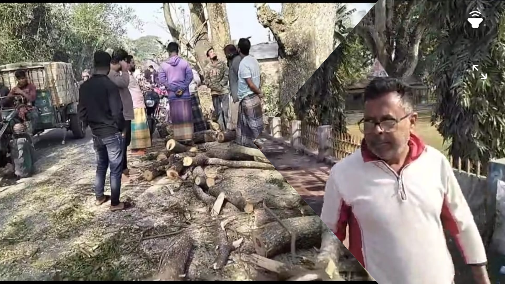 জীবননগরে সরকারি গাছ বিক্রি করায় বিএনপি নেতাসহ আটক ৩