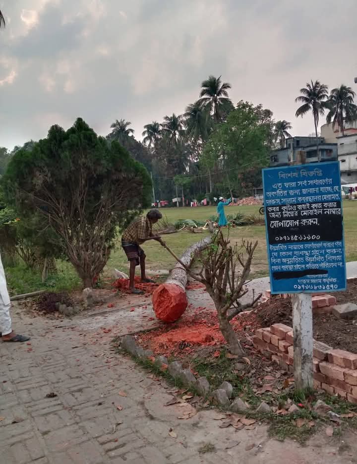 আলমডাঙ্গার দারুস সালাম ঈদগাহ ময়দানের গাছ কাটায় সমালোচনা