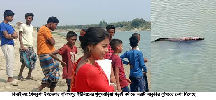 গড়াই নদীতে কুমির দেখতে উৎসুক জনতার ভিড়