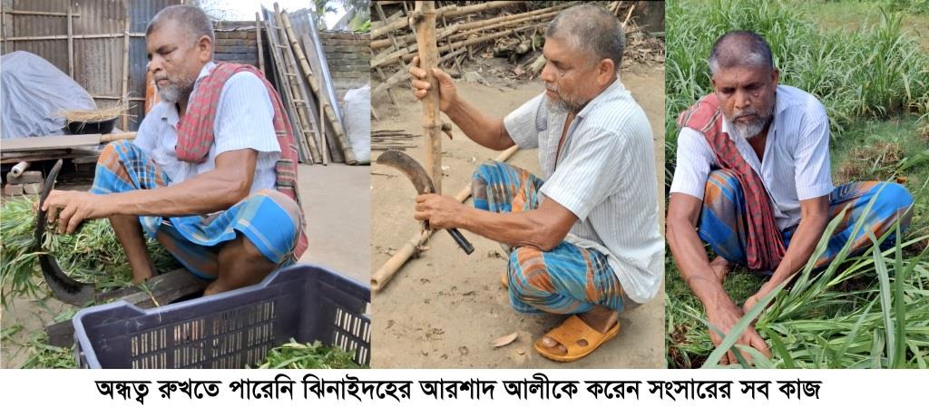 অন্ধত্ব থামাতে পারেনি আরশাদ আলীকে, করেন সব কাজ