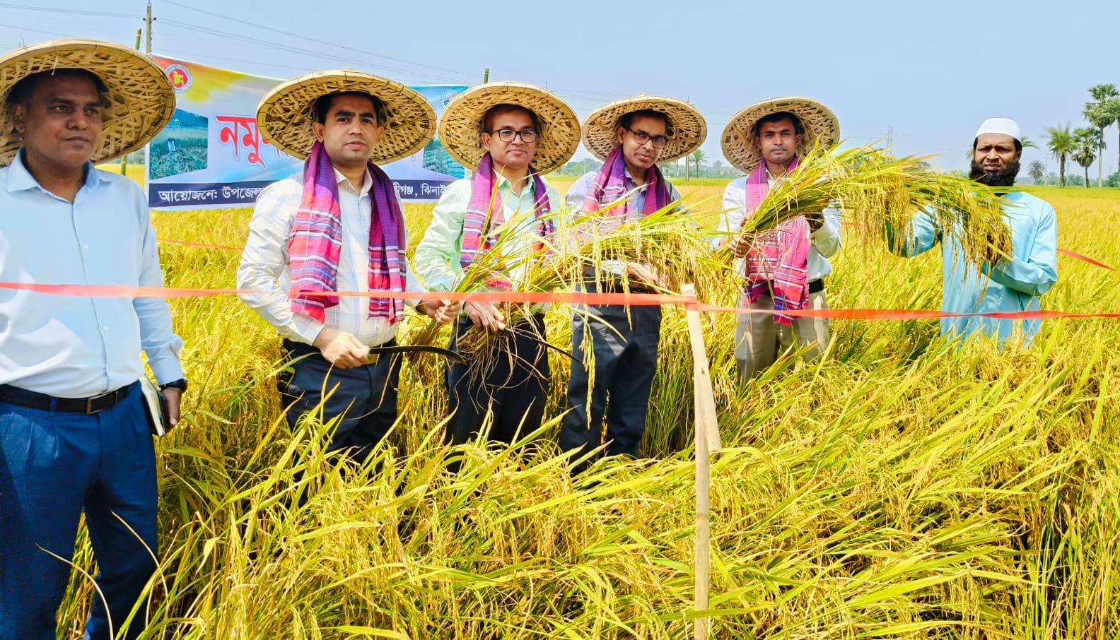 ঝিনাইদহে কৃষকের খেতের ধান কাটলেন জেলা প্রশাসক