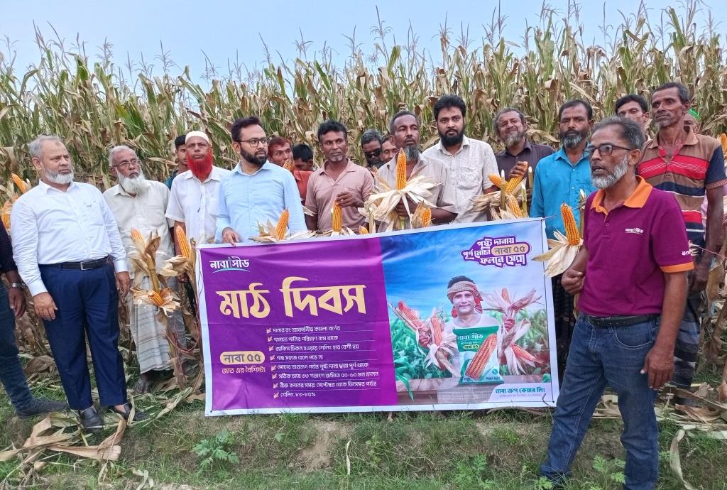গাংনীতে ভুট্টা চাষের ওপর মাঠ দিবস